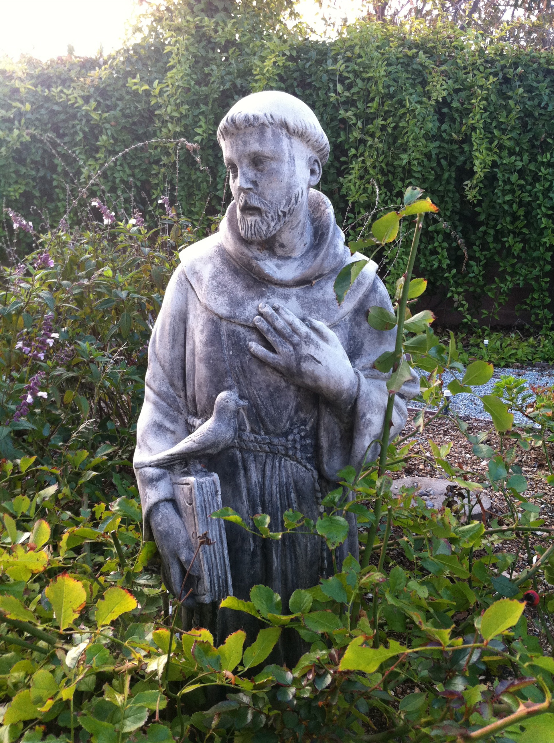 Franciskus