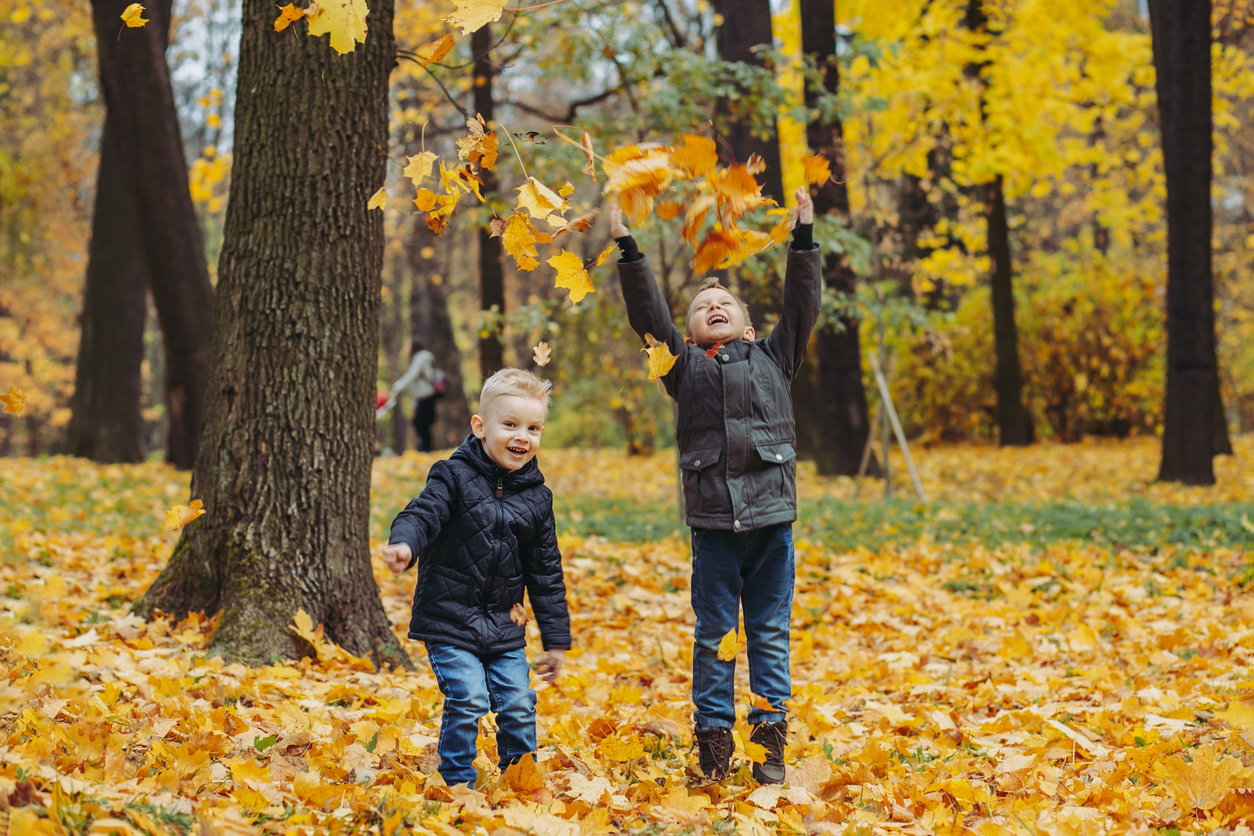 iStock-1342035754 pojkar höstlöv köpt bild