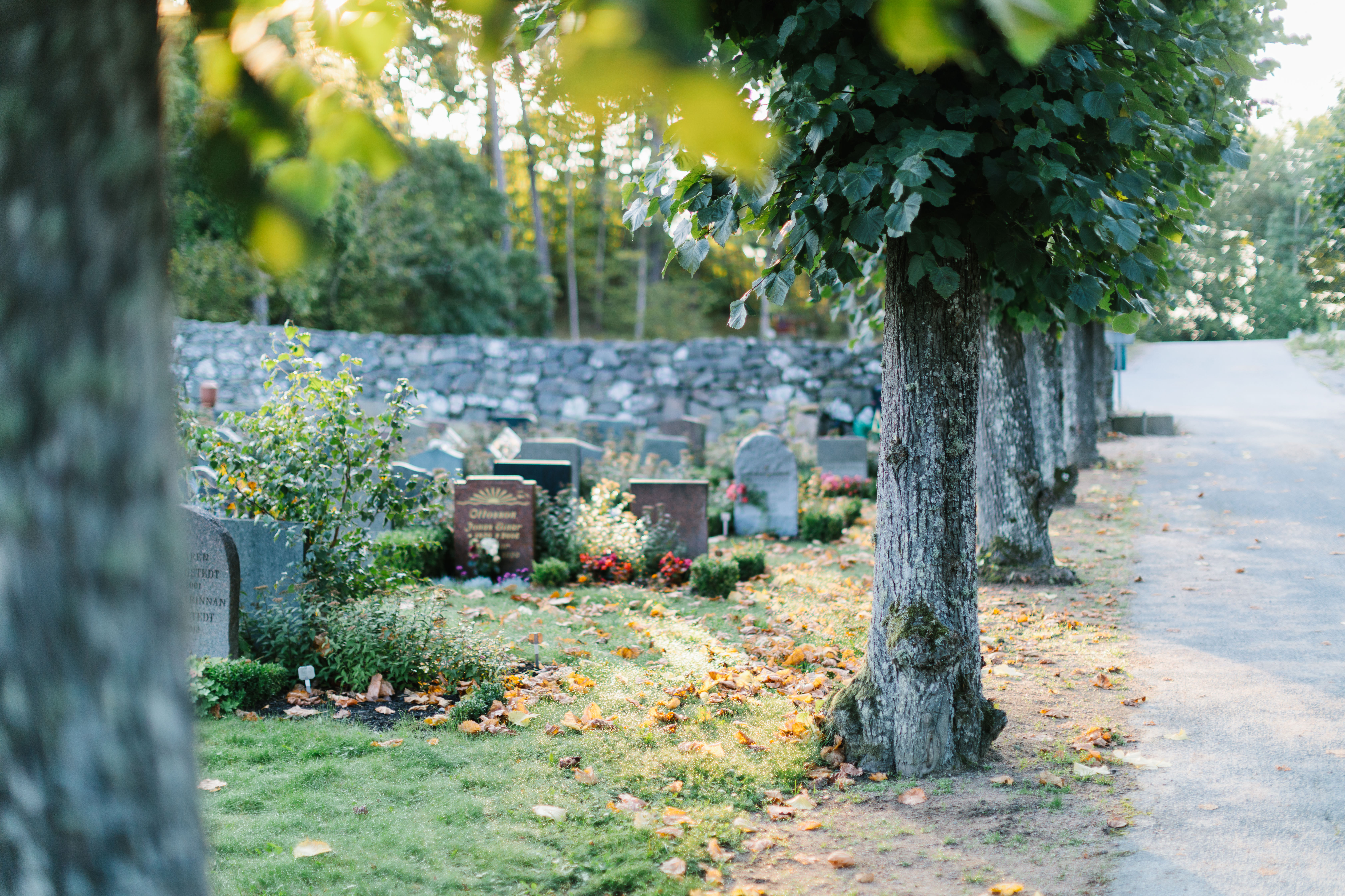 En kyrkogård i höstljus
