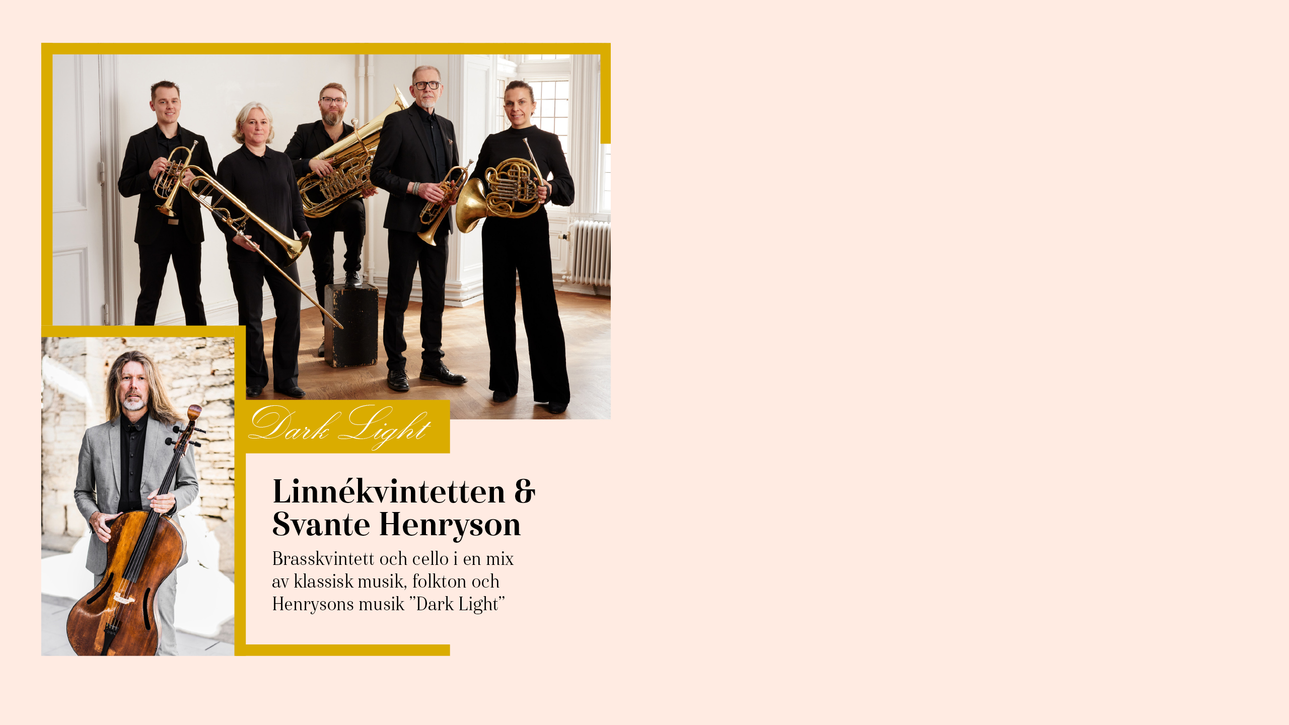 Poster för konserten