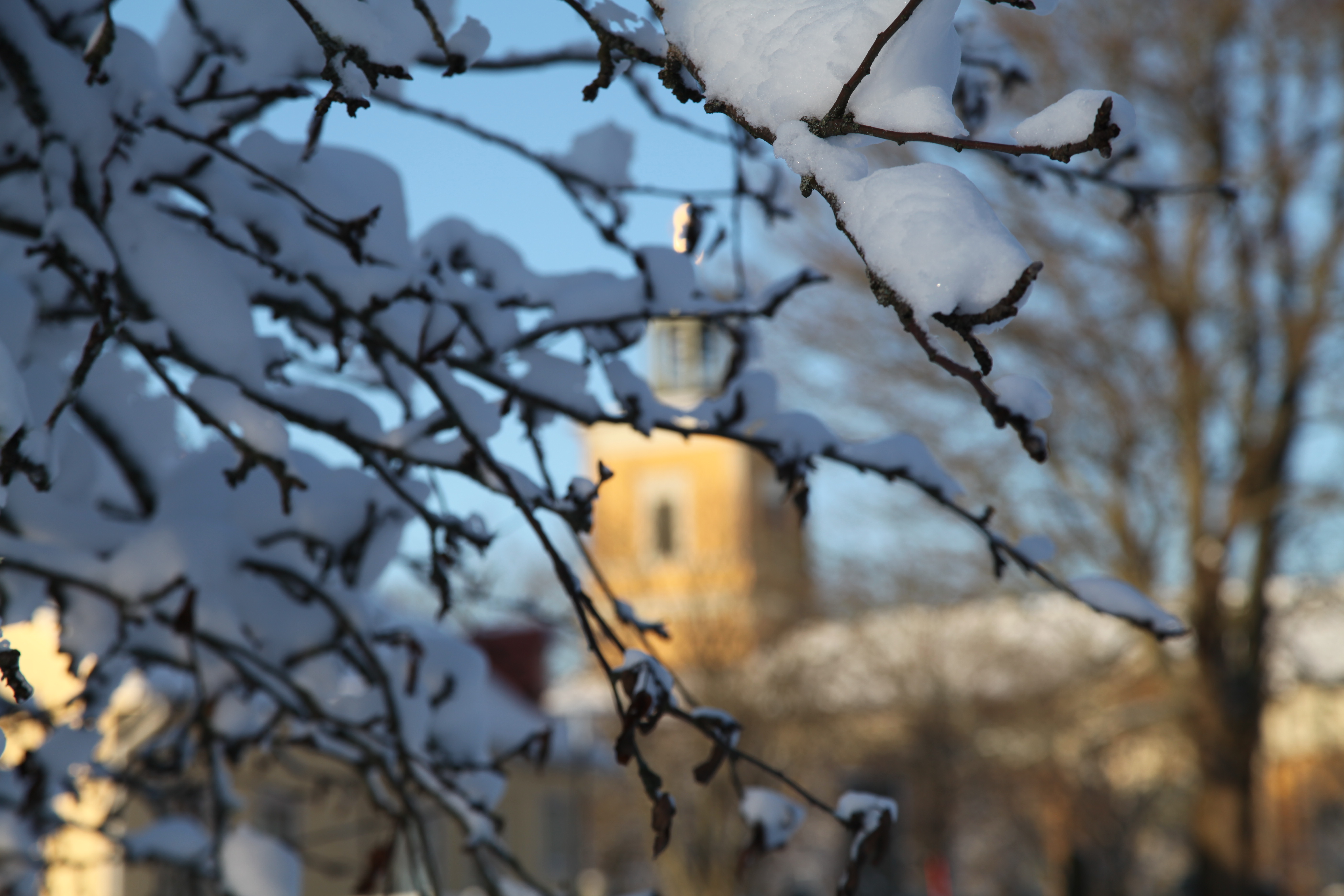 Kumla kyrka i bakgrunden. I förgrunden grenar med snö på.