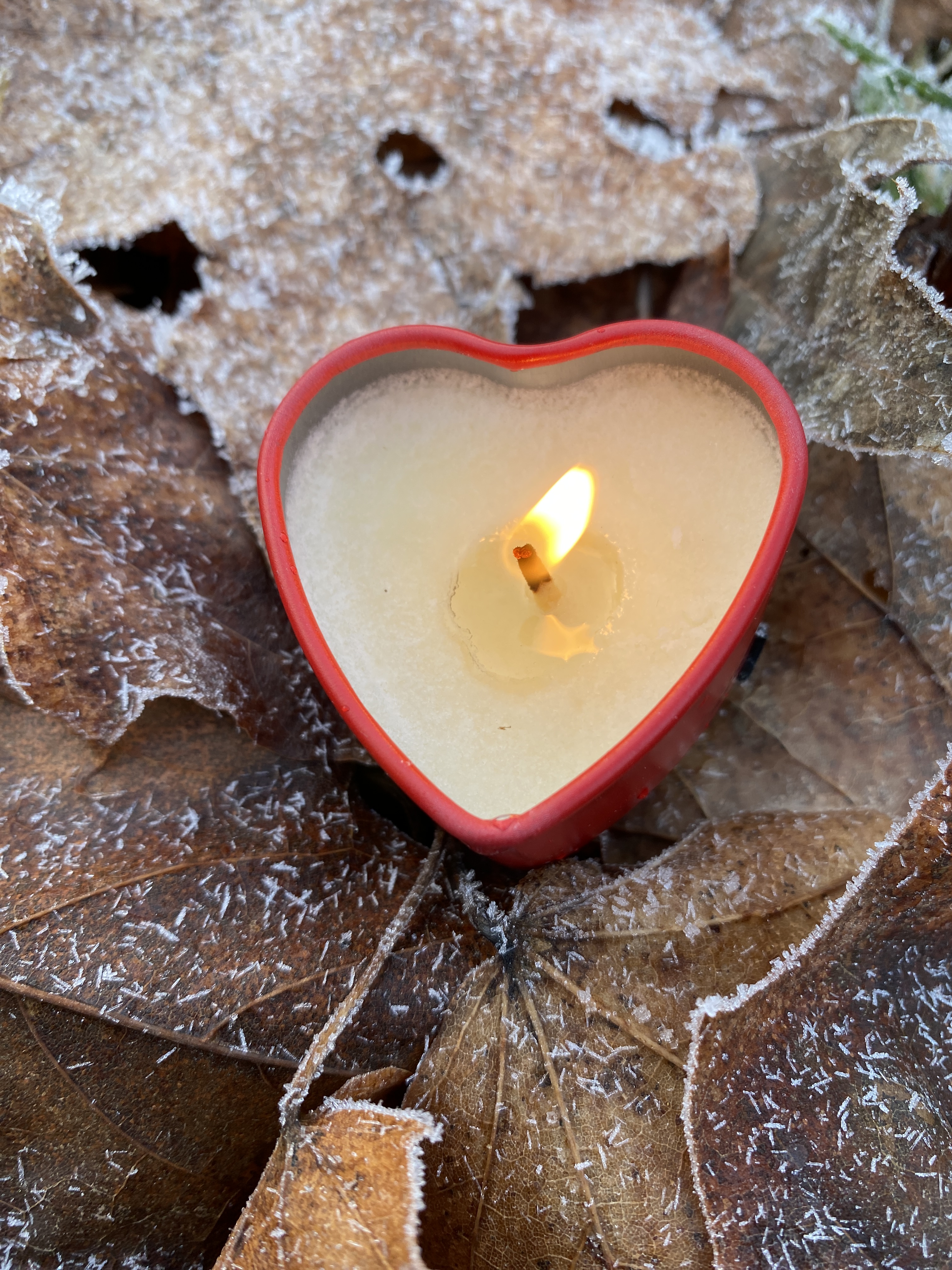 En ljus i form av ett hjärta brinner. Ljuset står på frusna löv.
