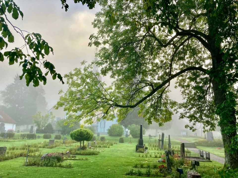 Morgondagg Leksands kyrkogård
