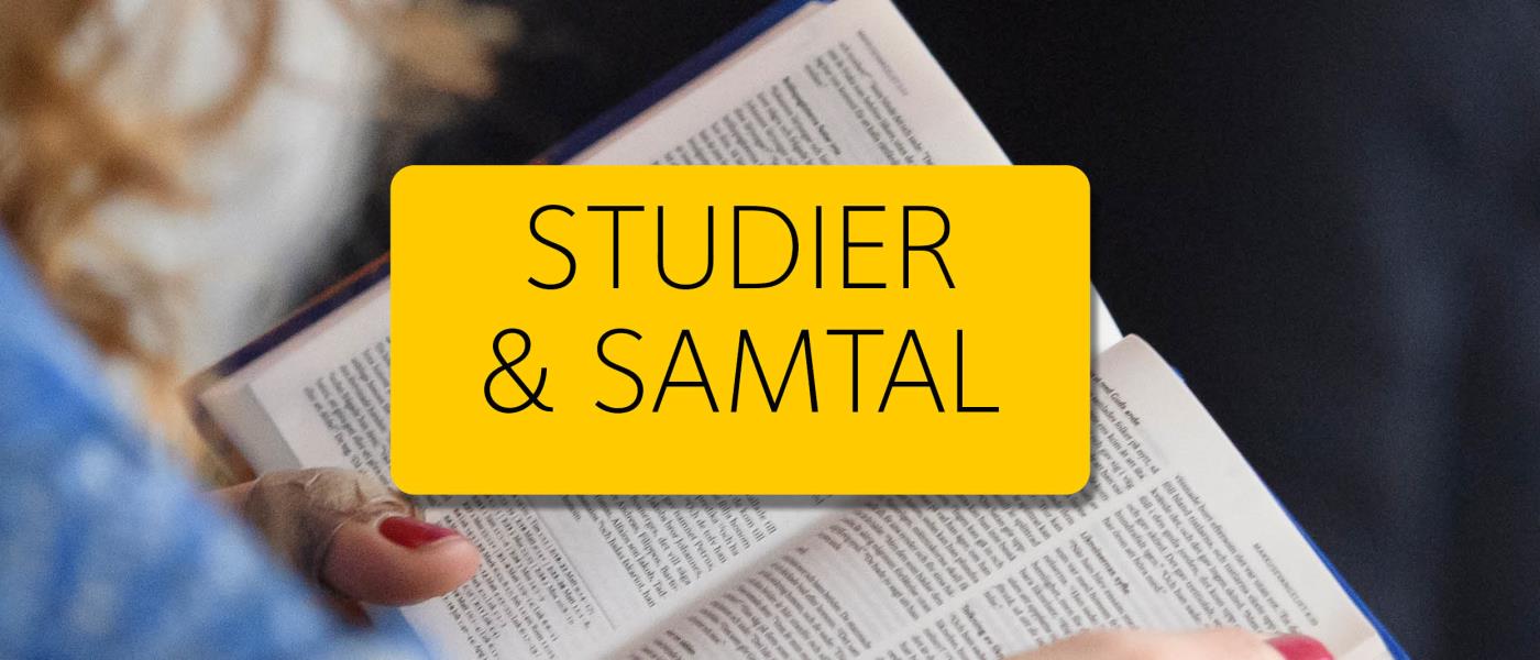 Studier och samtal