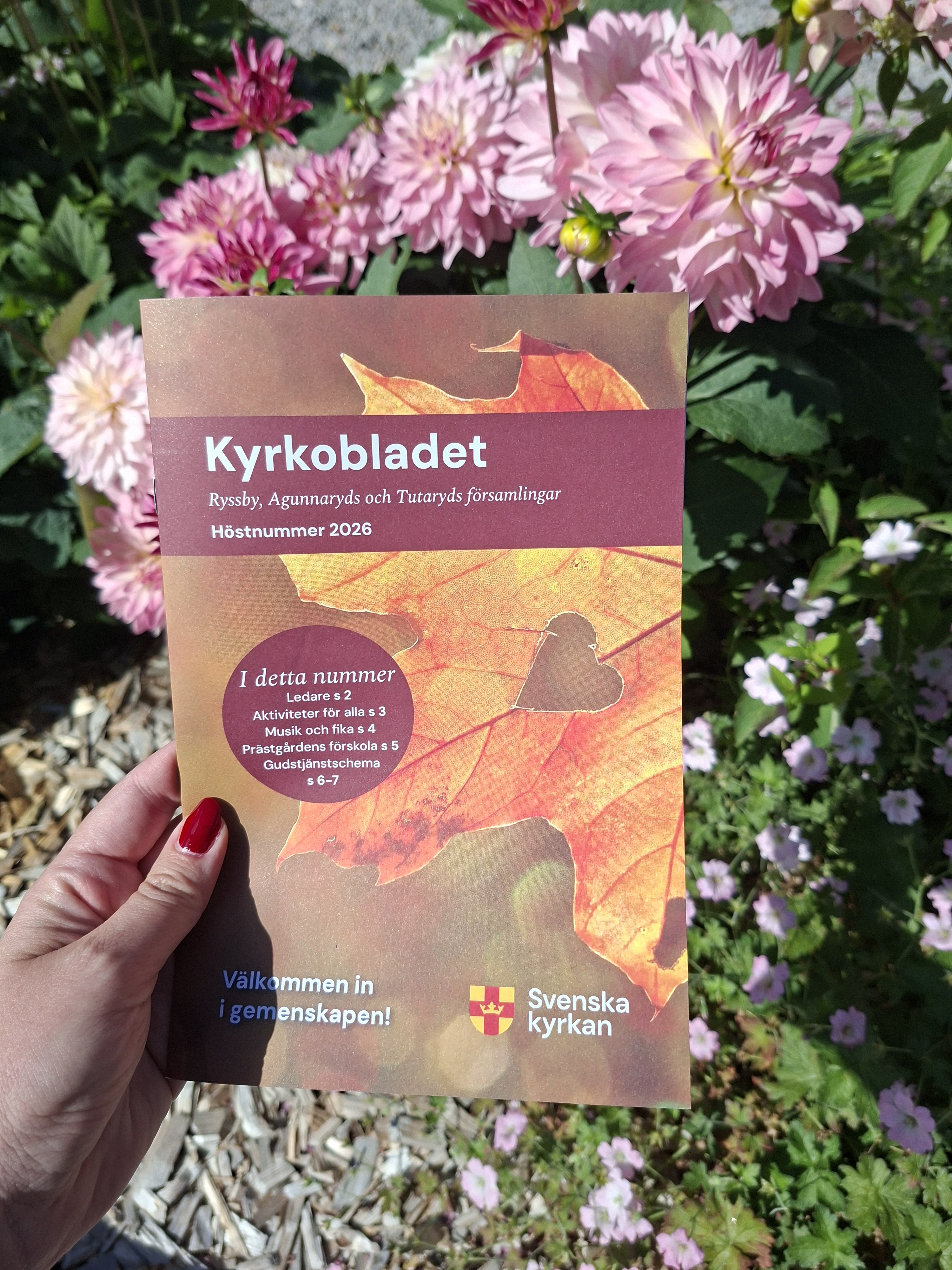 Kyrkobladet hösten 26
