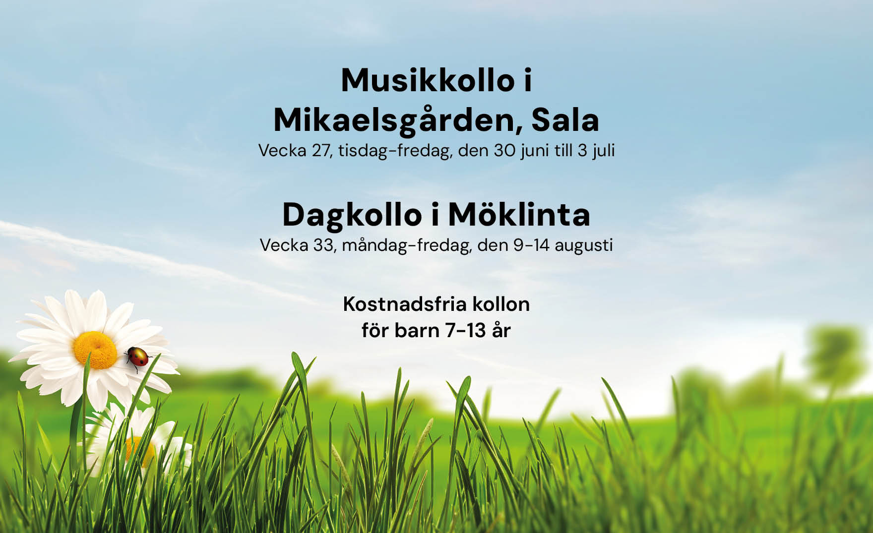 Musikkollo & dagkollo 2026