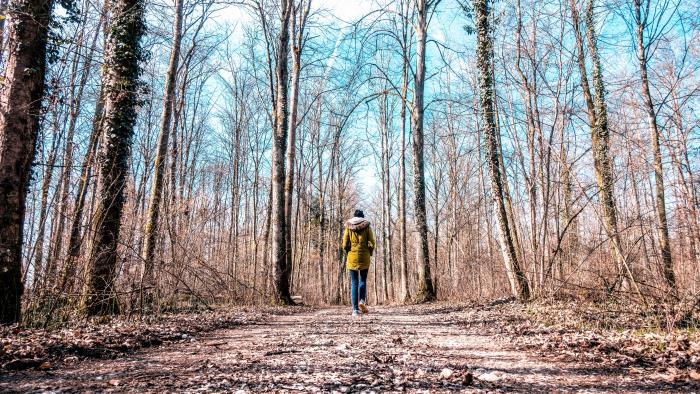 En kvinna går längs en skogsstig, framåt, bort från kameran. Träden har tappat sina löv och himlen är blå.