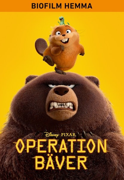 Operation Bäver