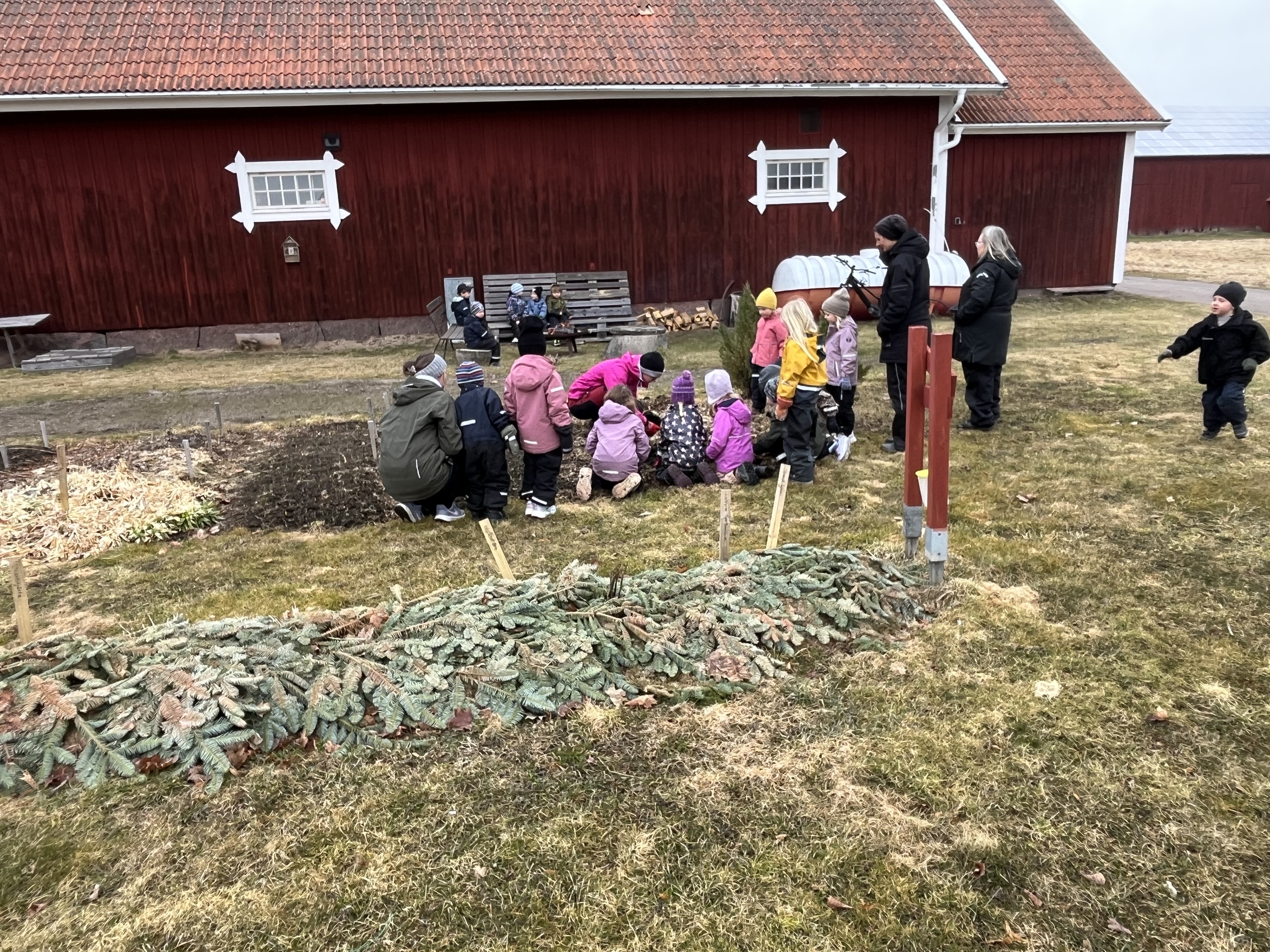 Förskola besök vid Boas åker