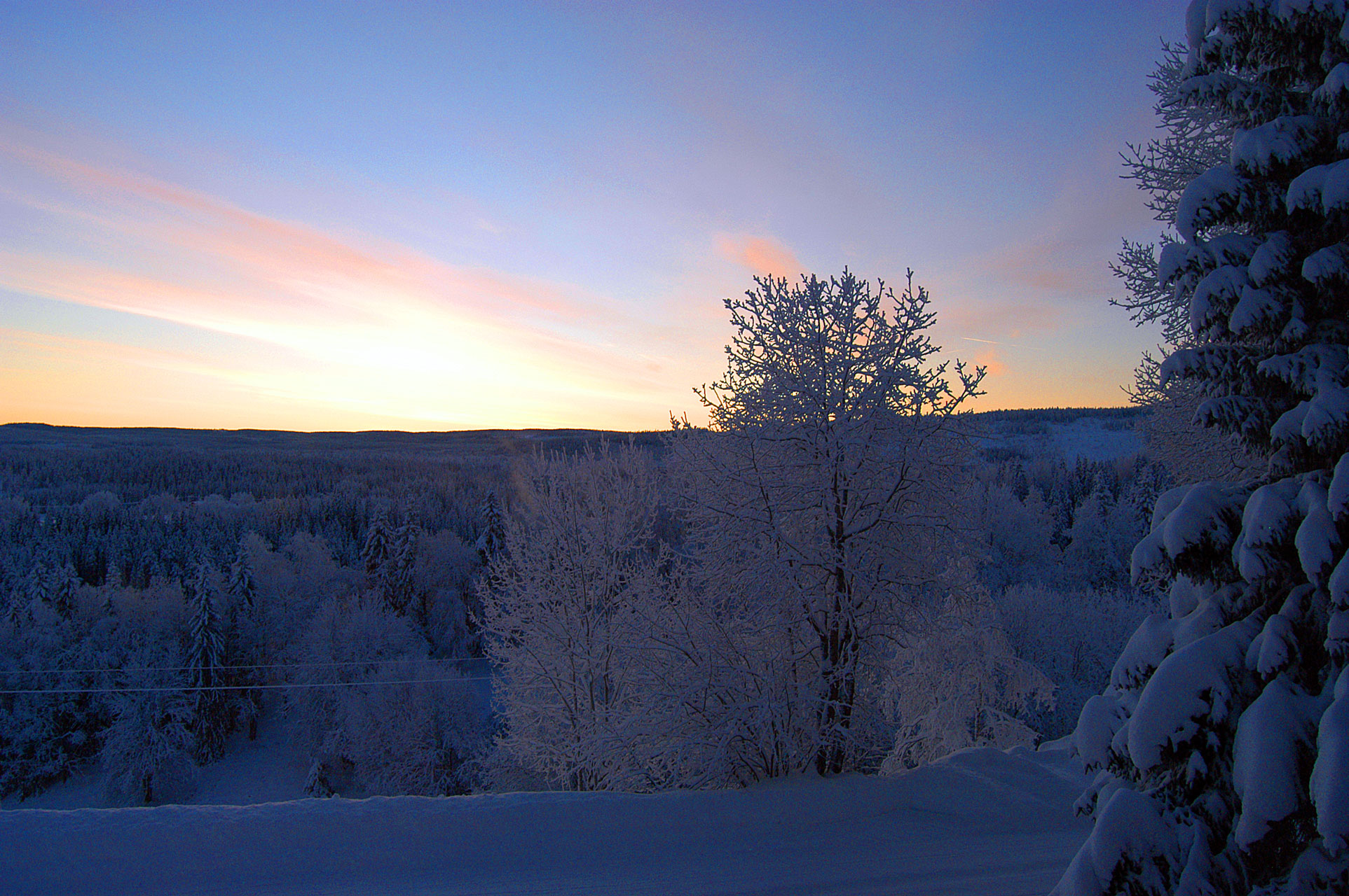 Skymning i vinterlandskap