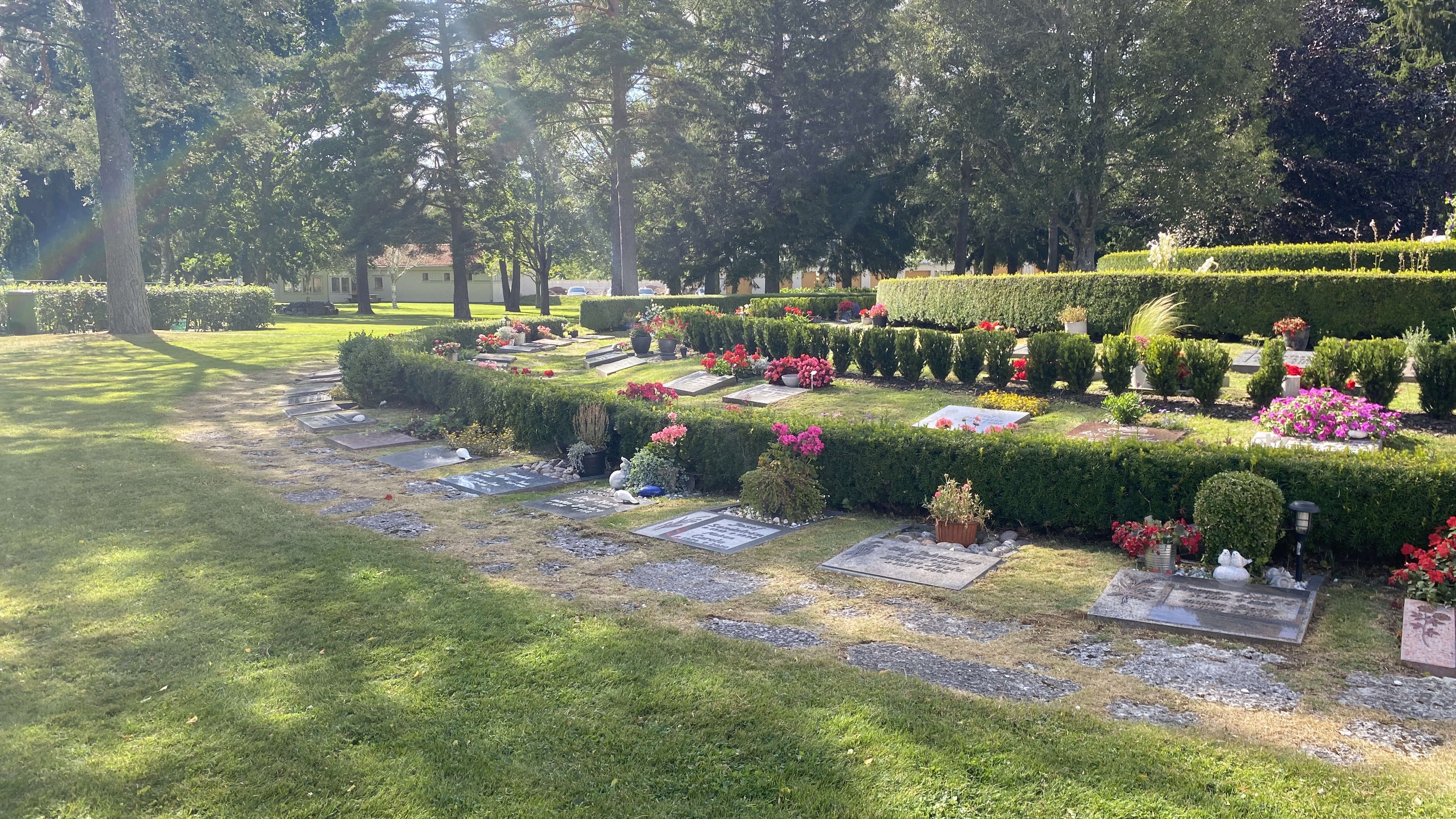 Gravplatser smyckade med blommor och annat.