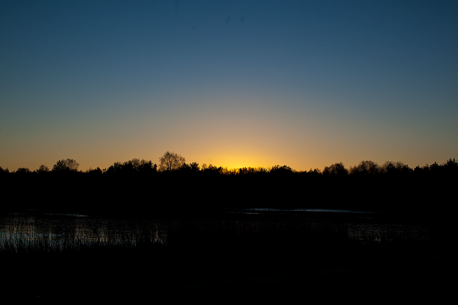 Orange solnedgång över trädtoppar och vatten.