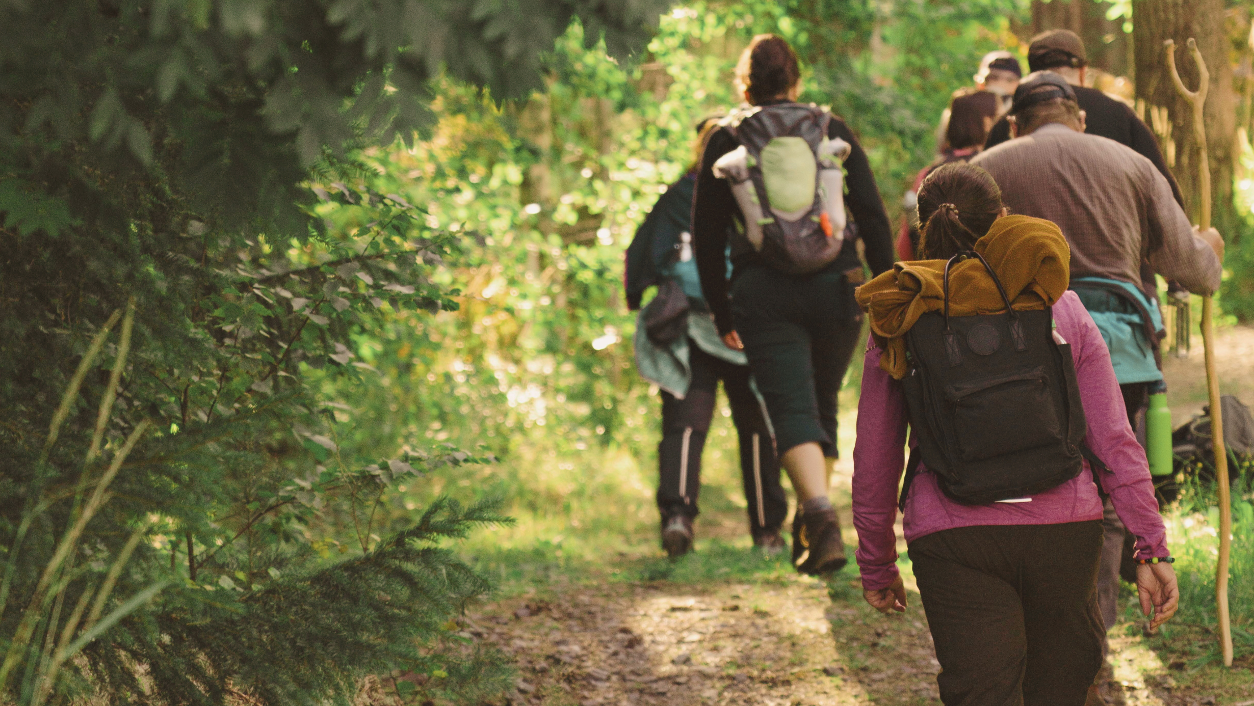 Pilgrimsvandring runt Dalsjön