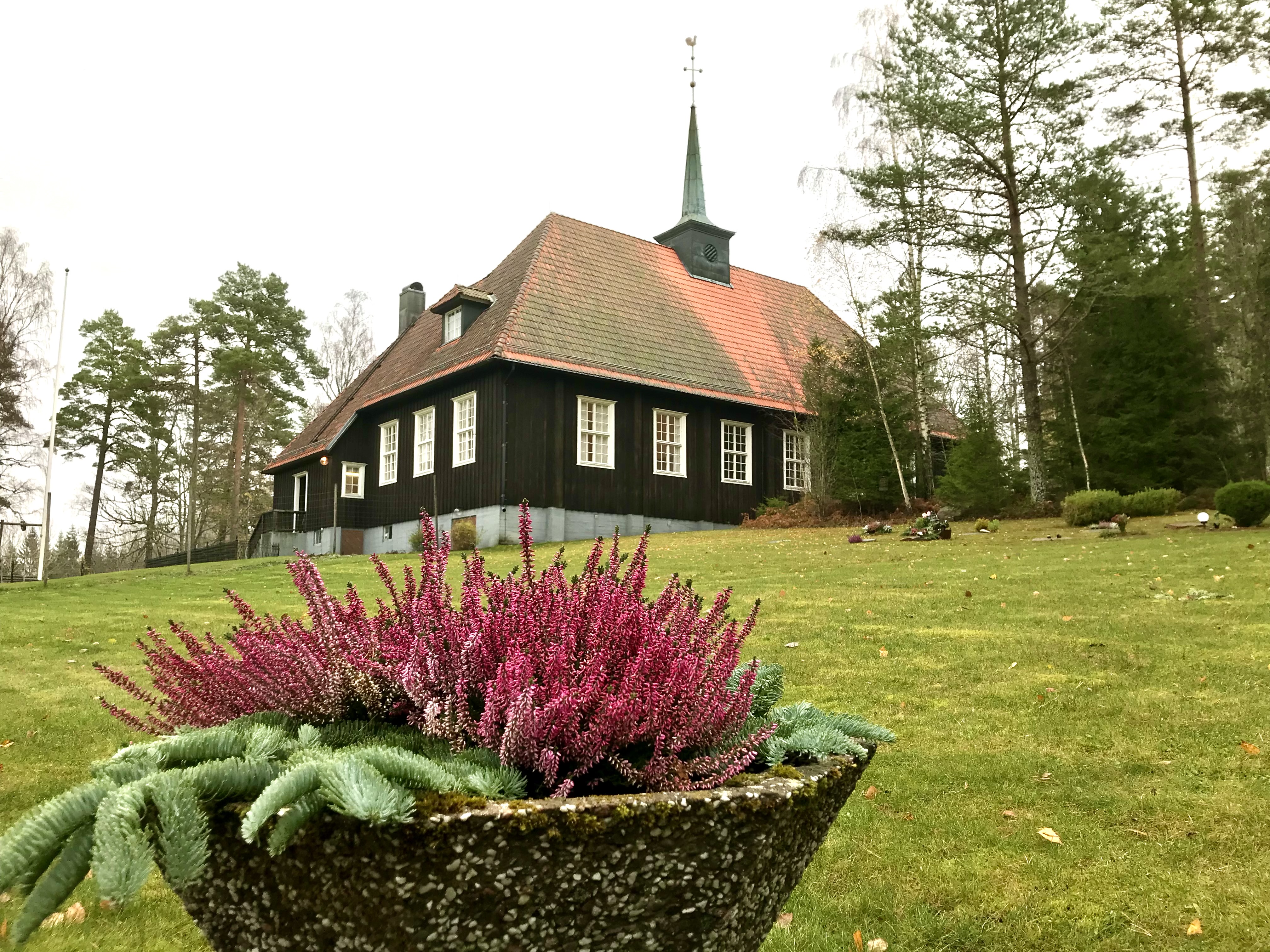 Kruka med ljung i förgrunden. Gårdsjö kyrkogård och kyrka i bakgrunden.