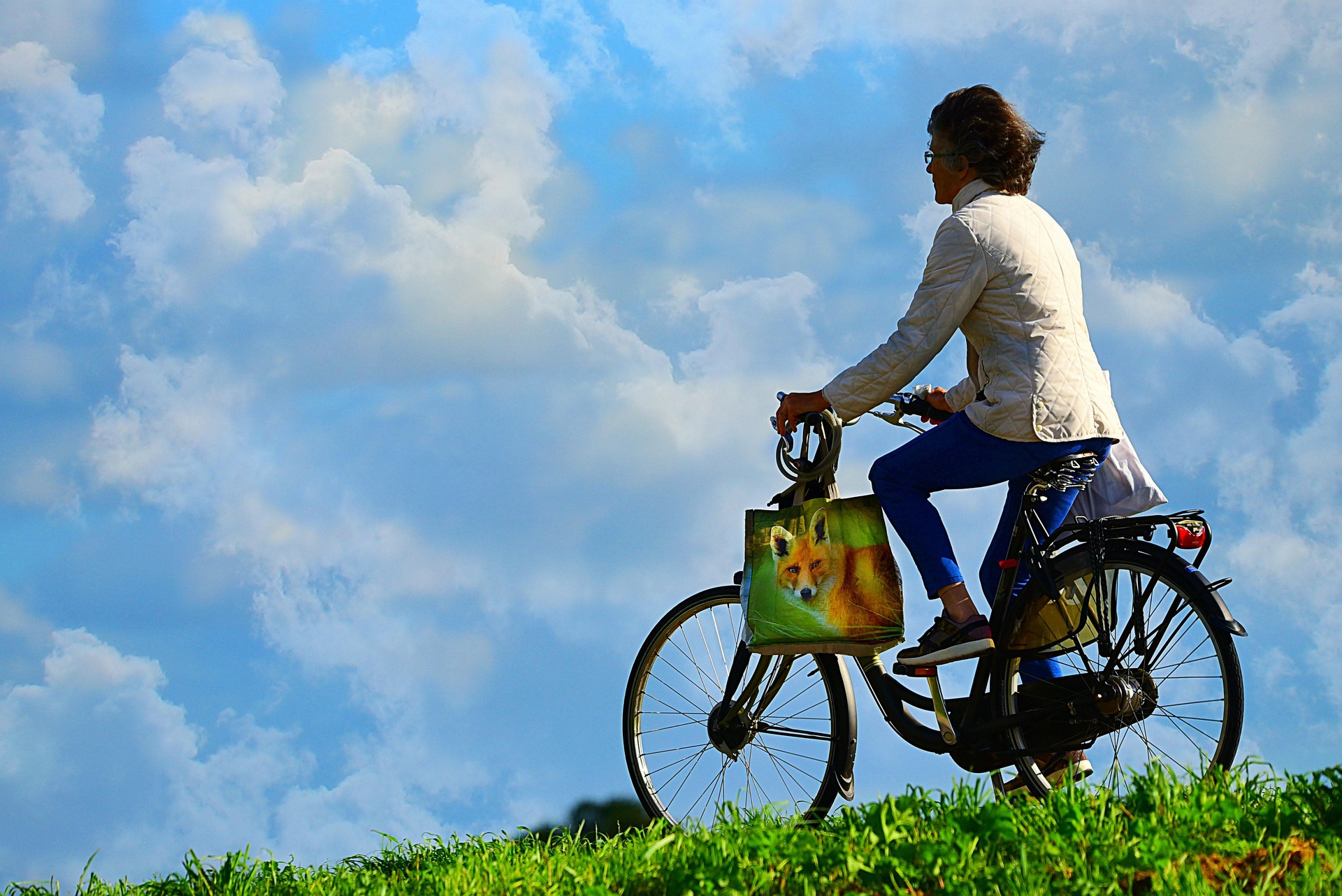 Cykel