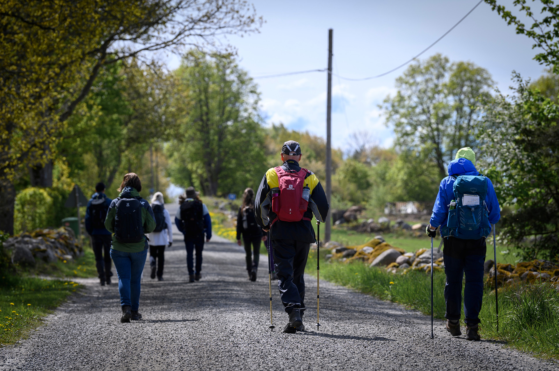 Människor som vandrar på en väg.