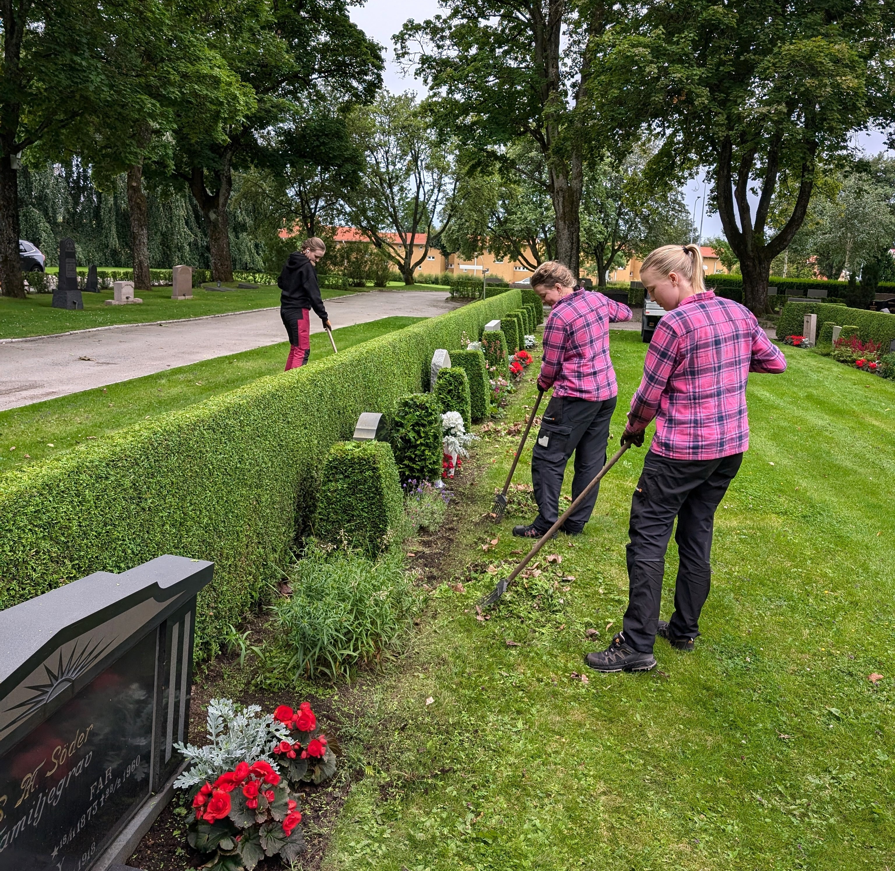 Jobba hos oss