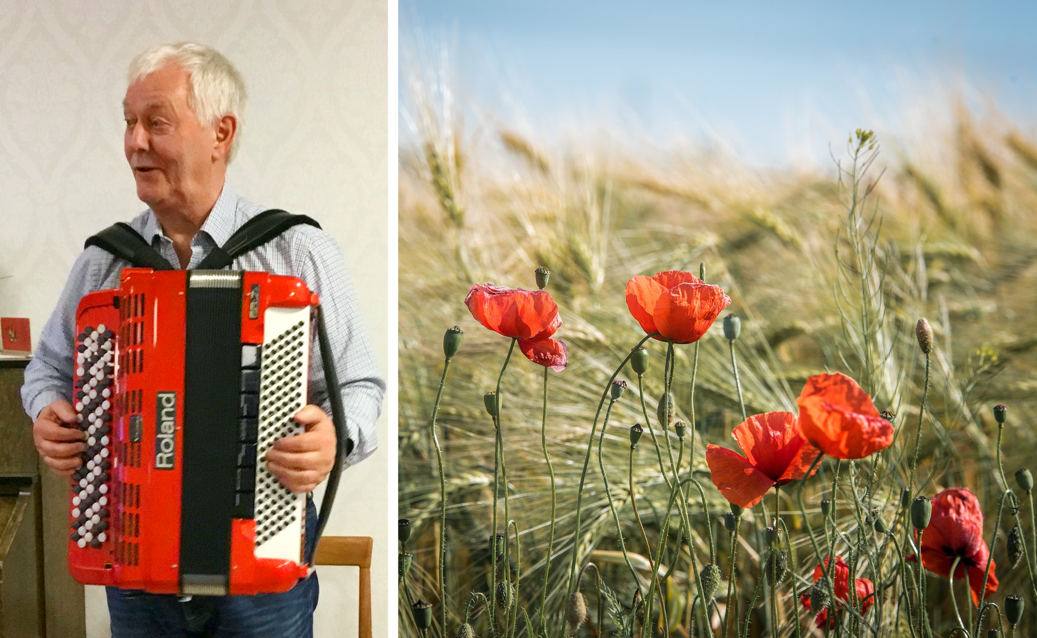 Vithårig man med skjorta och klarrött dragspel samt vallmoblommor på ett fält.