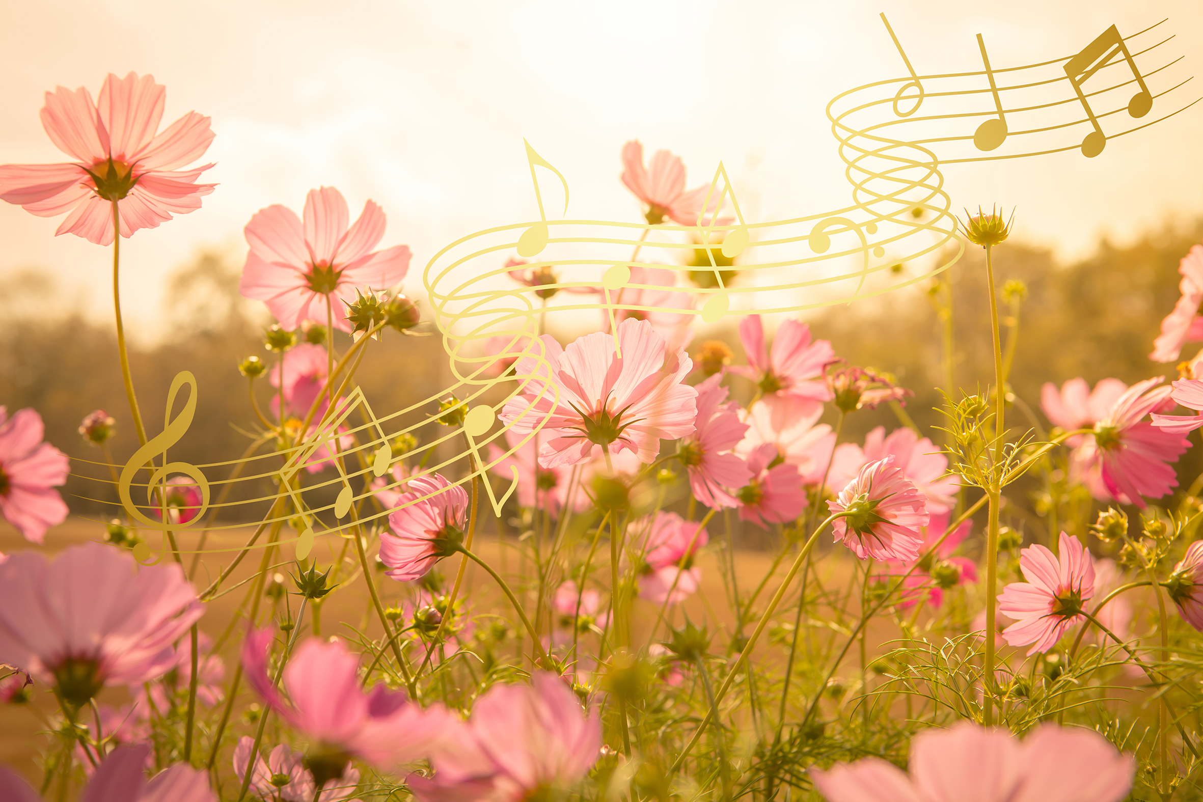 Sommarmusik i Järna-Vårdinge