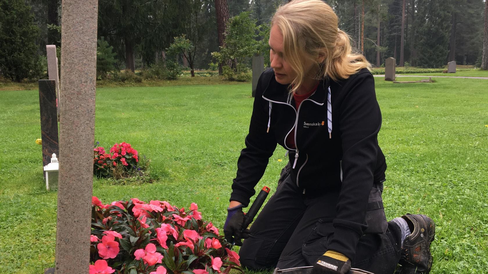 En kyrkogårdsarbetare planterar blommor på en grav