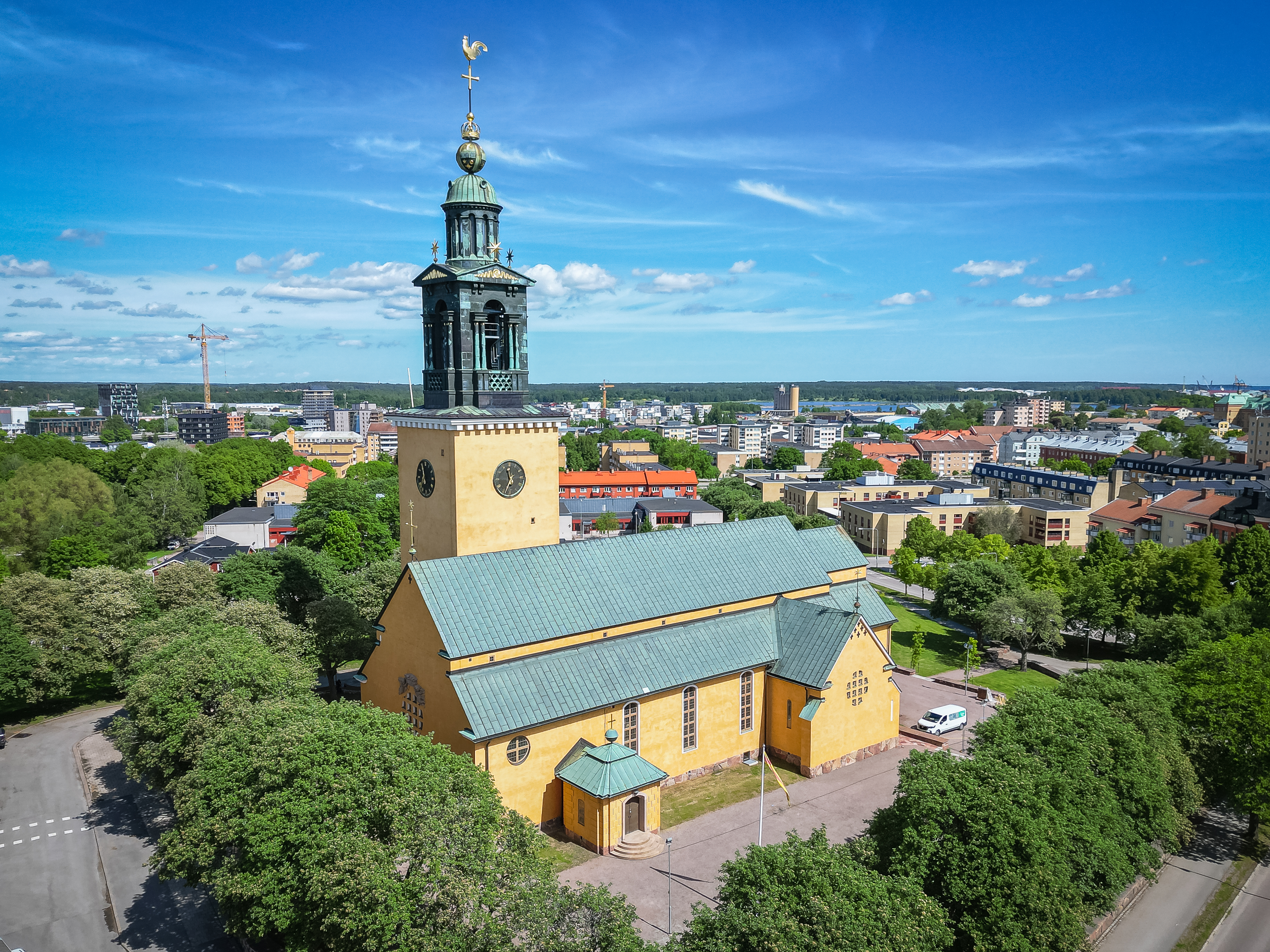 En bild på Staffans kyra en solig sommardag