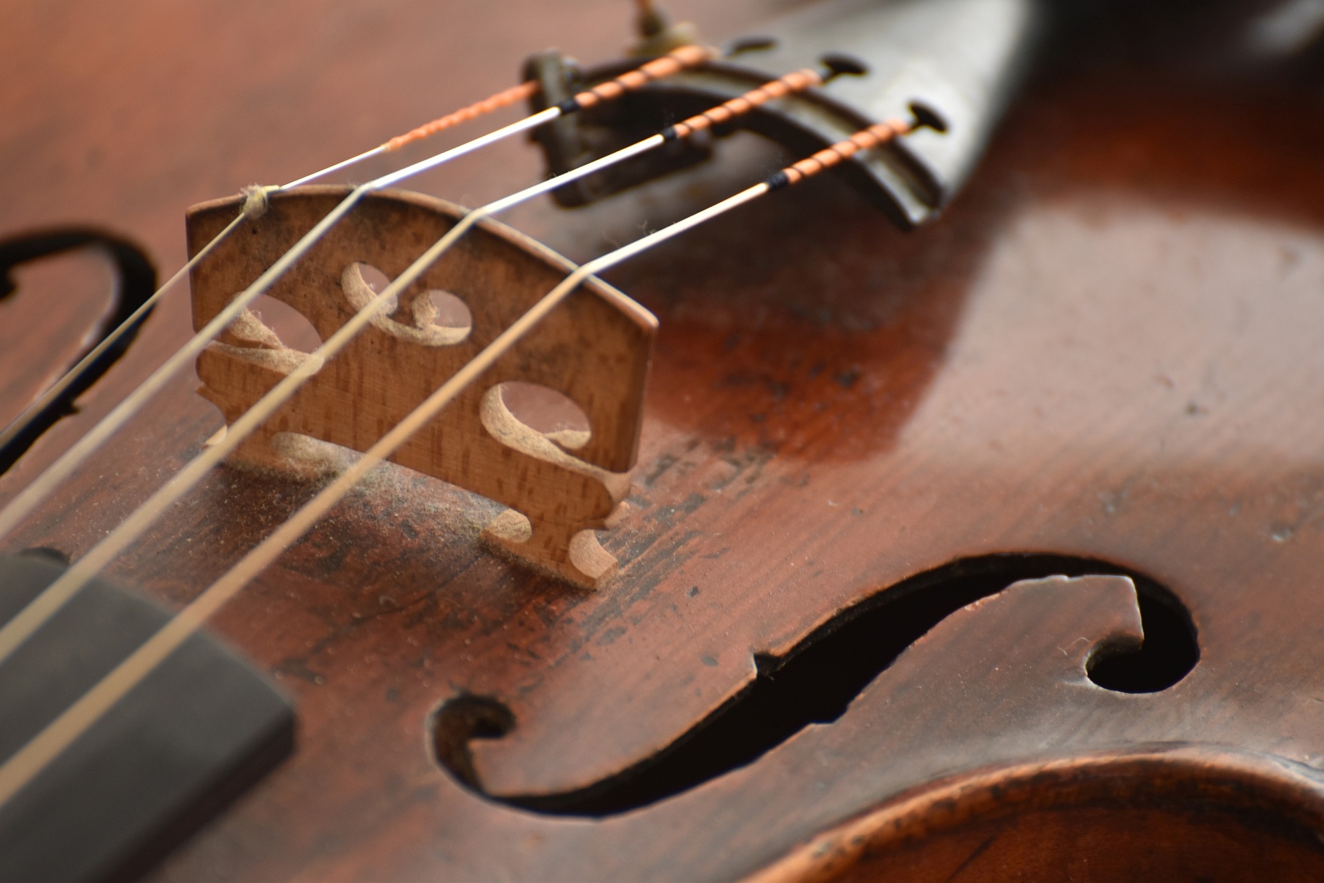 Violin i närbild