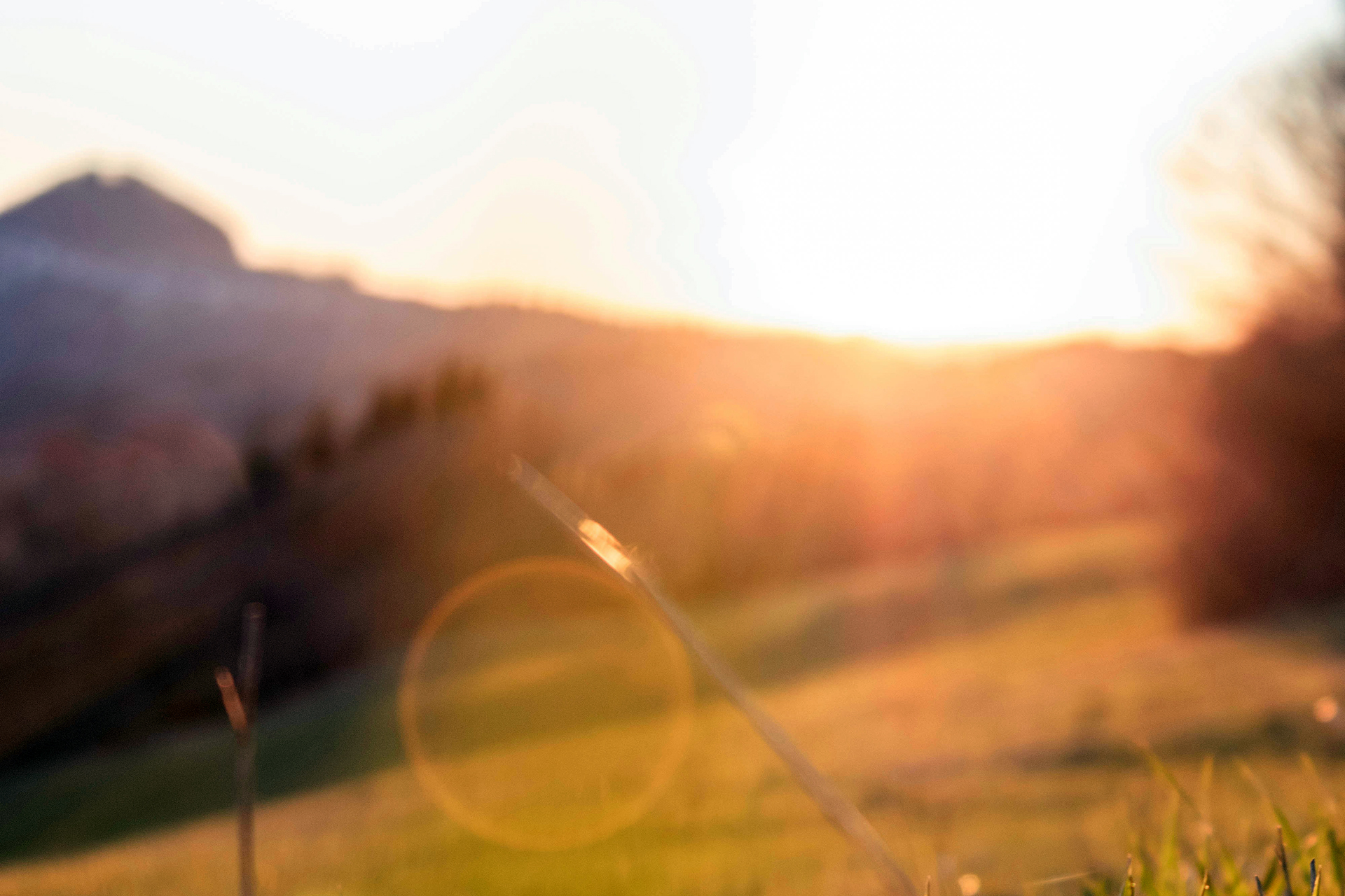Solen strålar över horisontlinjen på ett kulligt och försommargrönt landskap i skymningsmättat motljus.