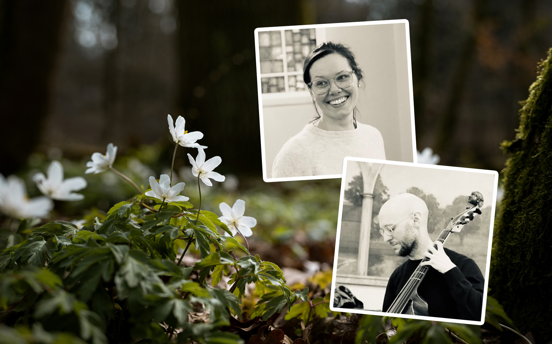 Vitsippor i en skog. Ovanpå blombilden ligger två svartvita porträtt på konsertens musiker.