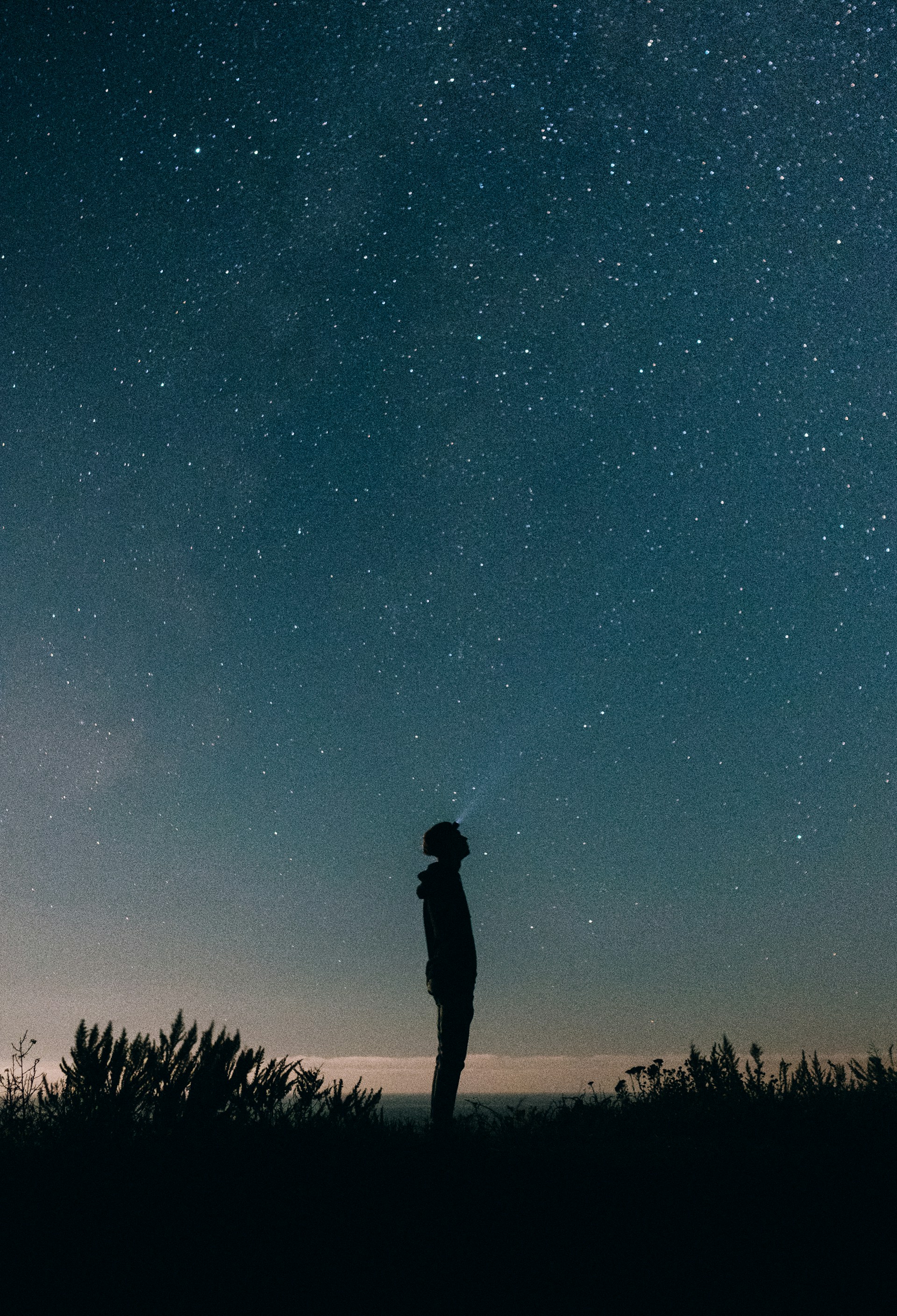 En siluett av en person som tittar upp mot en stjärnklar himmel.
