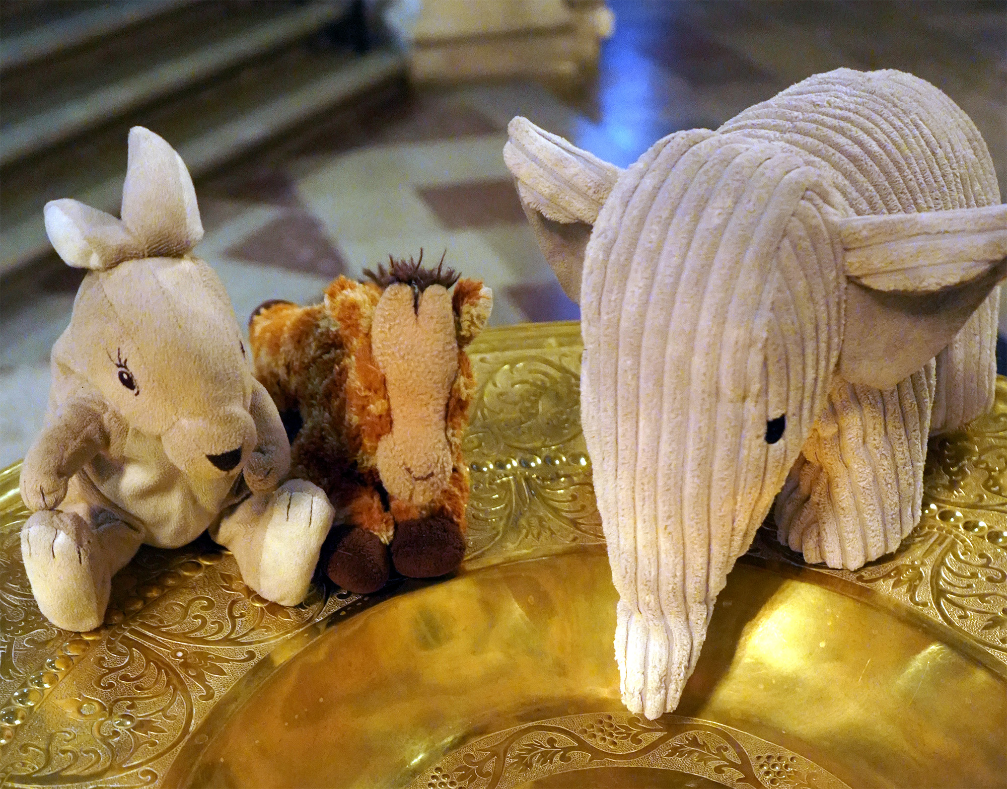 Gosedjur sitter på kanten av en dopfunt