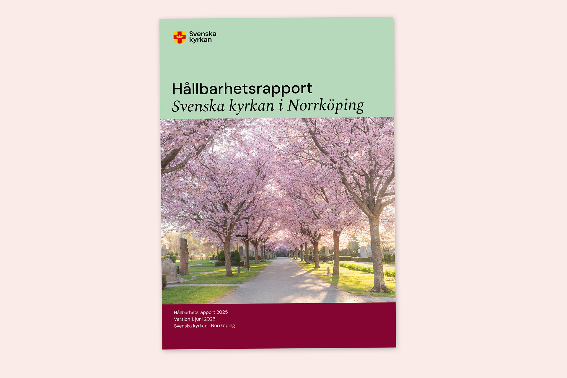 En bild på omslaget till hållbarhetsrapporten 2025. Bilden på omslaget är en allé av blommande körsbärsträd från Matteus kyrkogård.