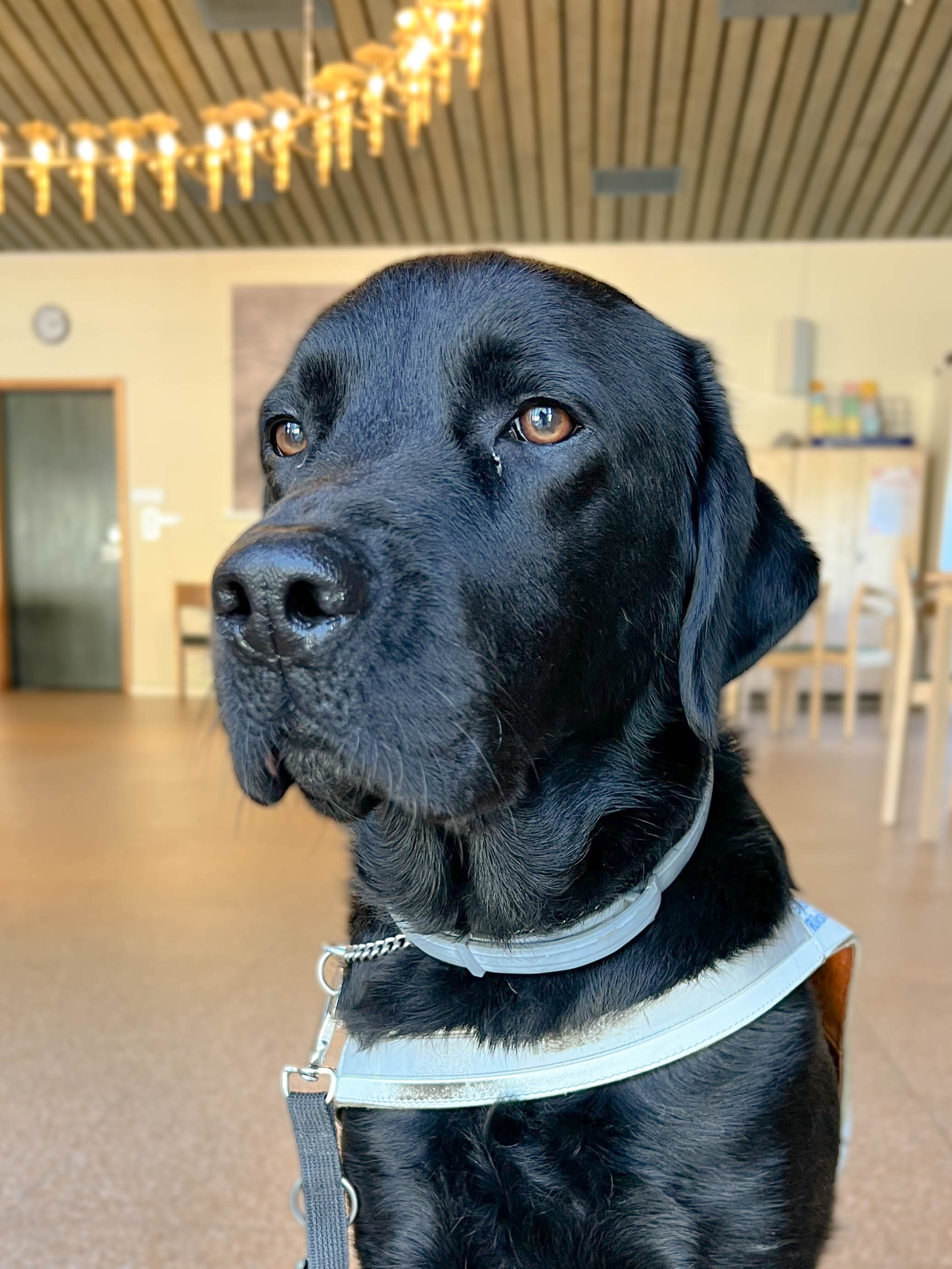 Putte, Borgs församling