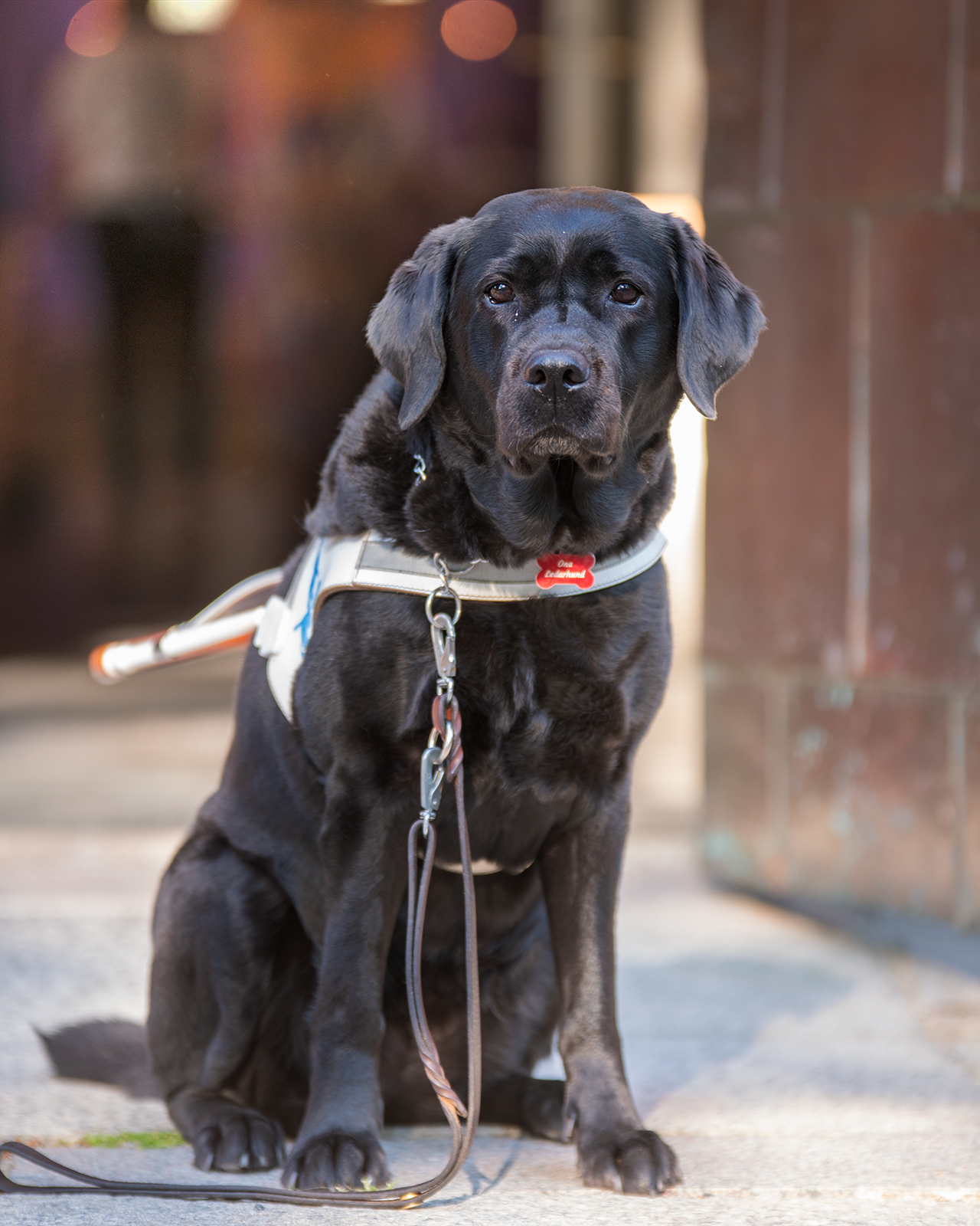 Ona, Kolmårdens församling