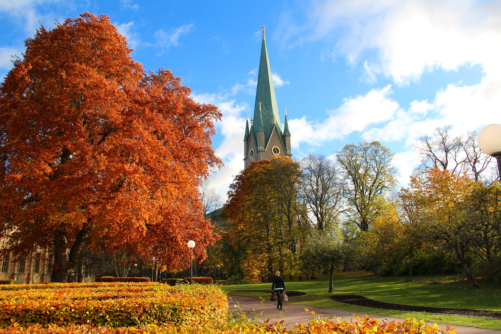 Linköpings domkyrka i höstskrud