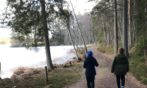 10 bildfrågor. Kasta om bokstäverna och bilda ett ord.