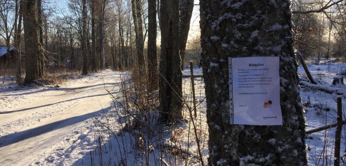 Bildgåtor uppsatta längs Romanöleden i Romanäs strax norr om Tranås. Leden är ca 2 km lång. Känner du igen sångerna? Kom ut i den vackra naturen och klura samtidigt på våra gåtor. Lycka till!