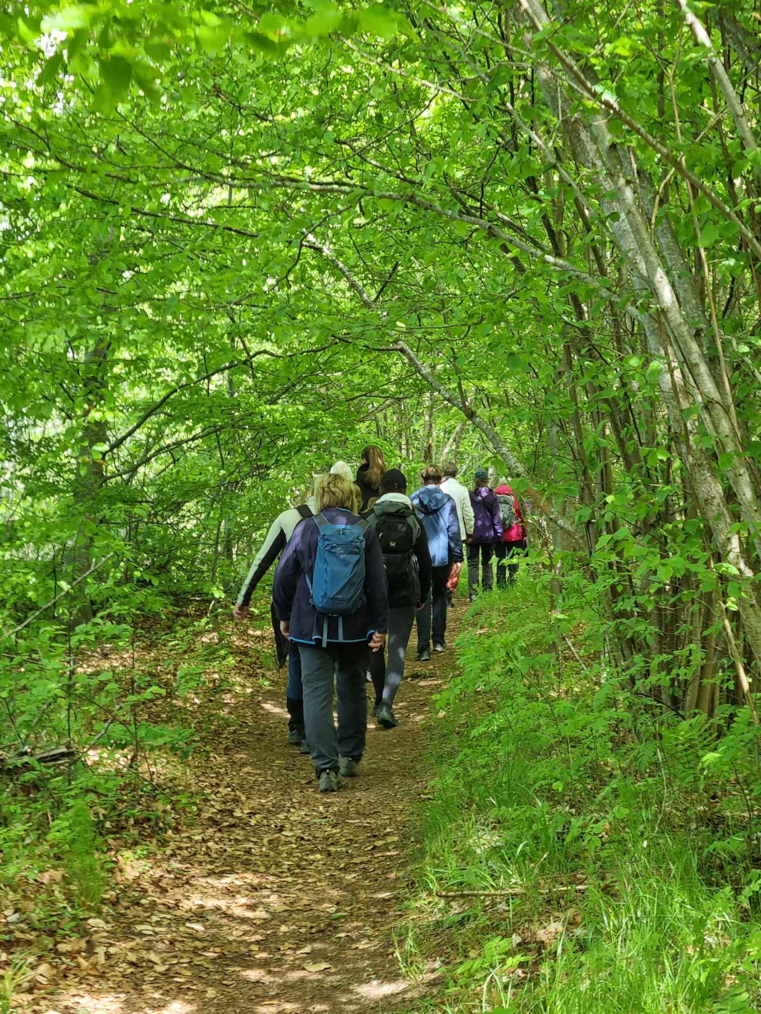 Pilgrimsvandring 2025