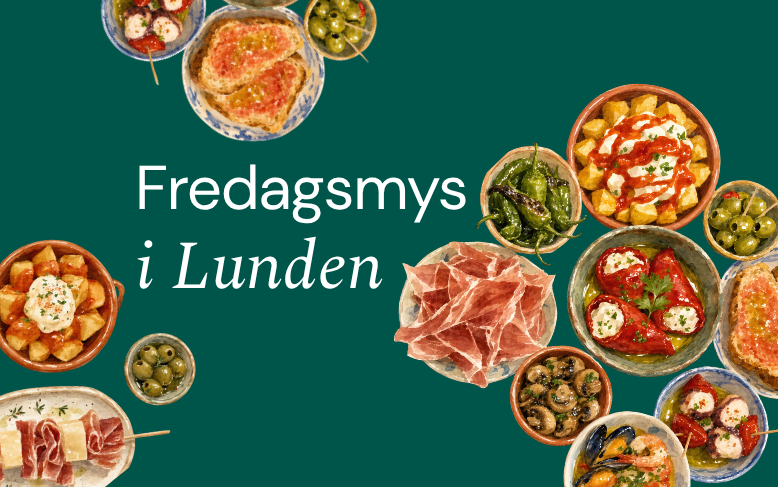 Fredagsmys