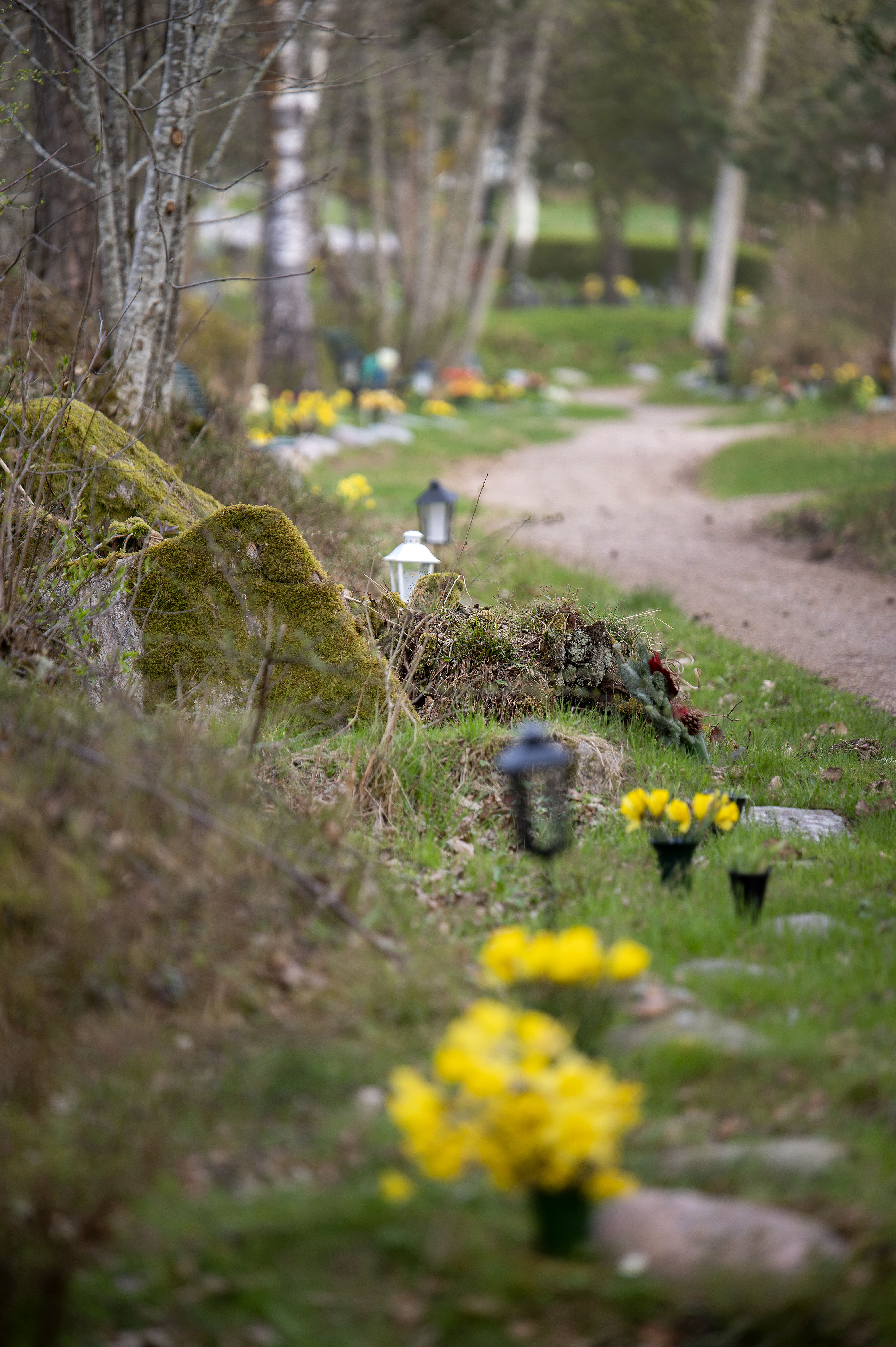 Gravar längs stigen vid Skogslunden på Håjum