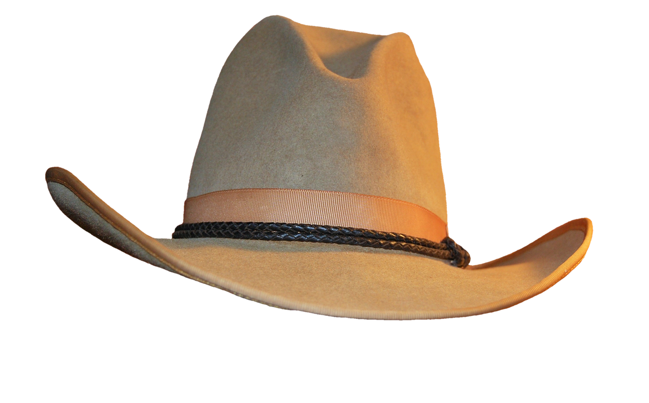 Cowboyhatt