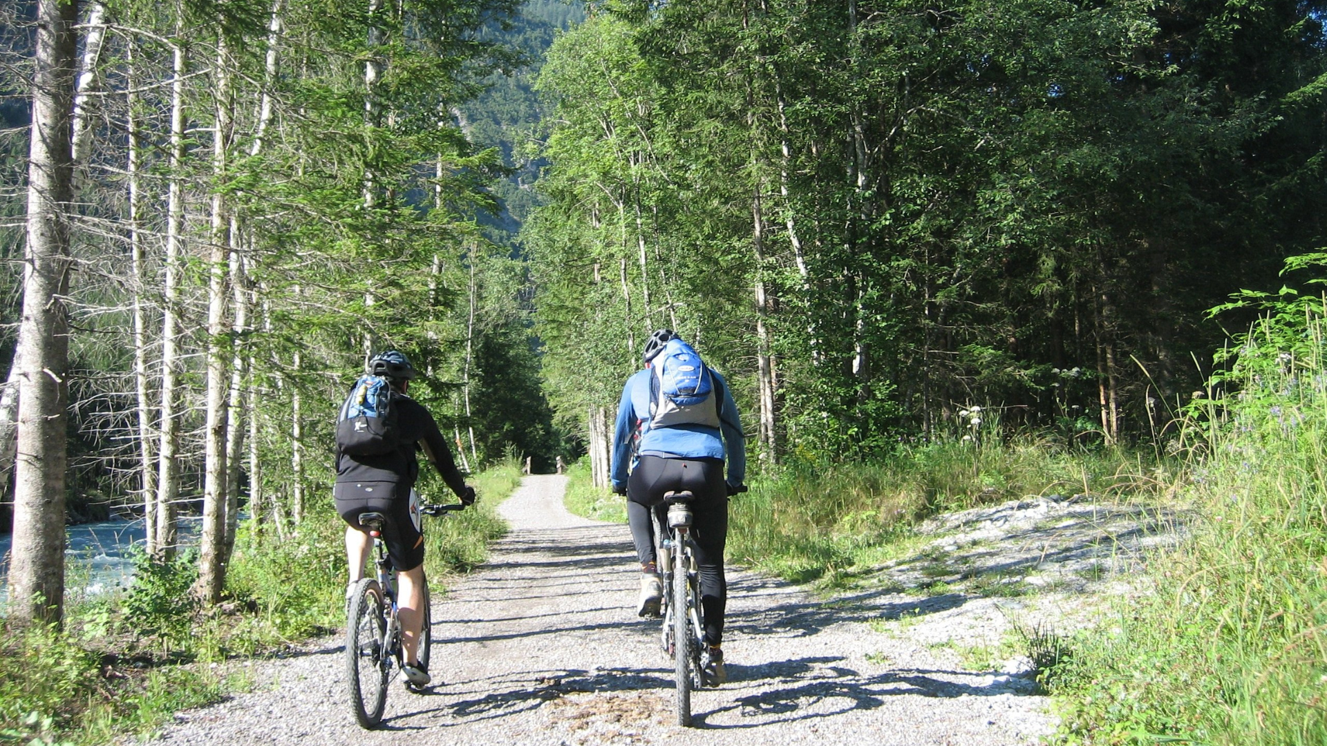 Pilgrimscyklister på en grusad väg mellan träden