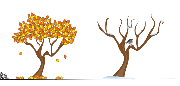 Illustrationer av träd i höst och vinterskrud