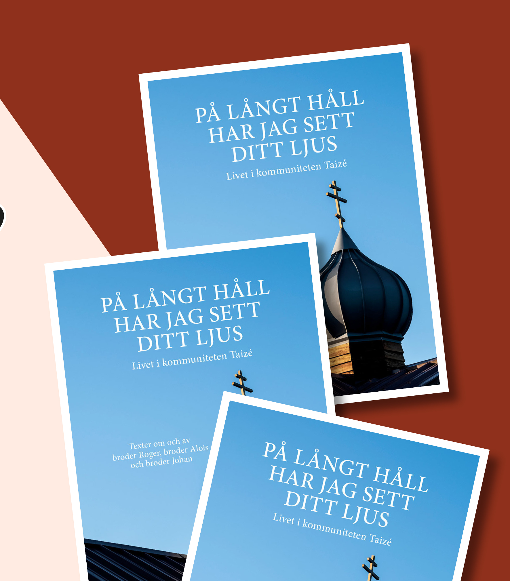Höstens bokcirkel - På långt håll har jag sett ditt ljus