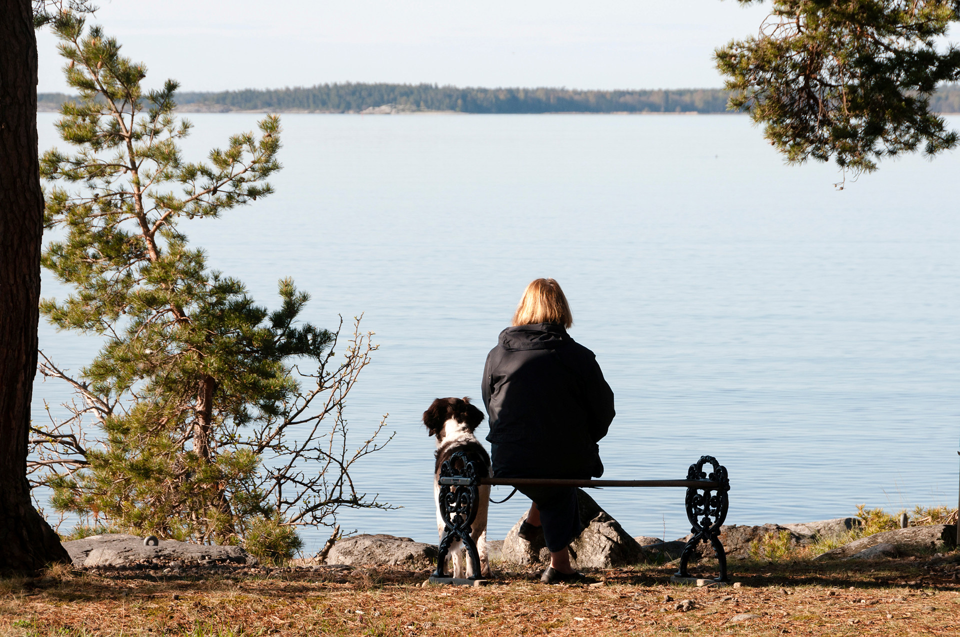 Hund med ägare sitter på bänk och tittar över havet.