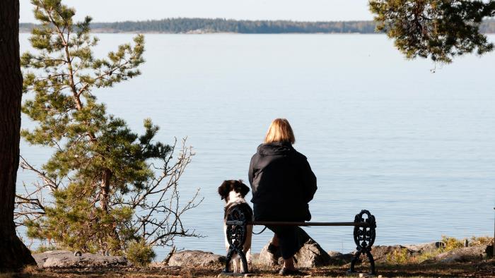 Hund med ägare sitter på bänk och tittar över havet.
