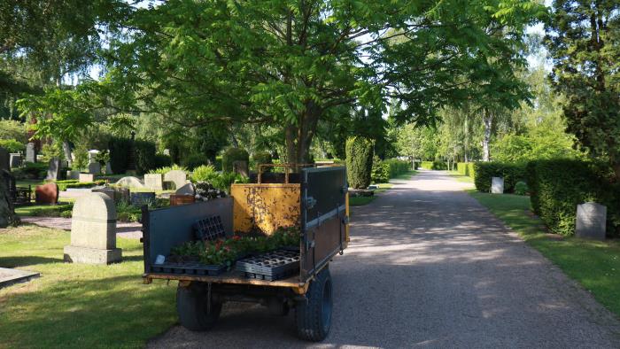 Liten piké lastad med sommarblommor. Parkerad på en grusgång omringad av gravplatser och grönska.