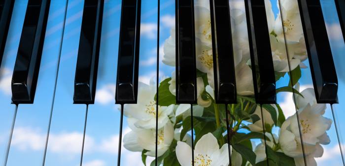Närbild på pianotangenter med en bild av blå himmel, vita moln och vita blommor på tangenterna.