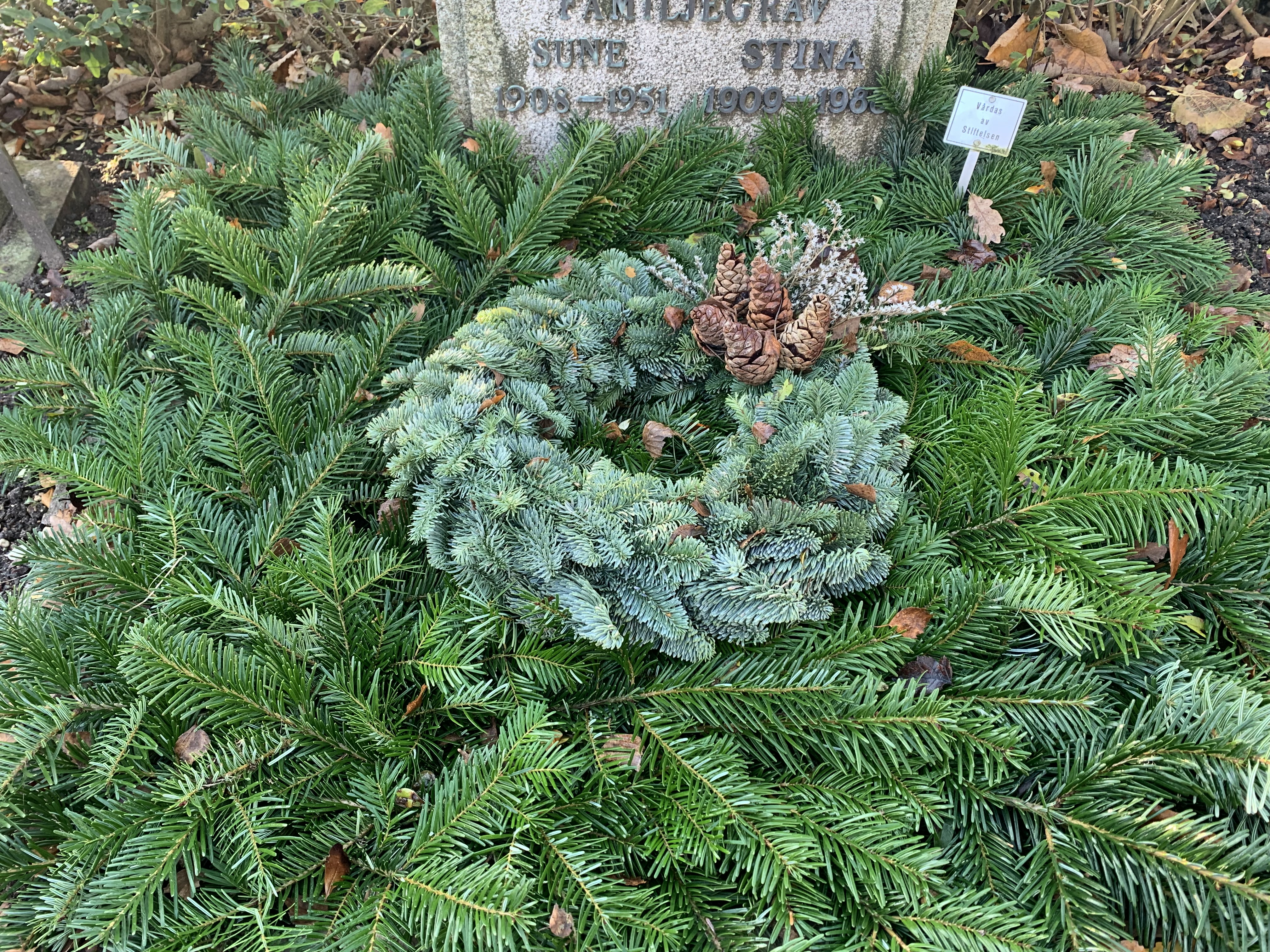 Urngravplats täckt med granris tillsammans med en nobilis krans i granris med kottar.