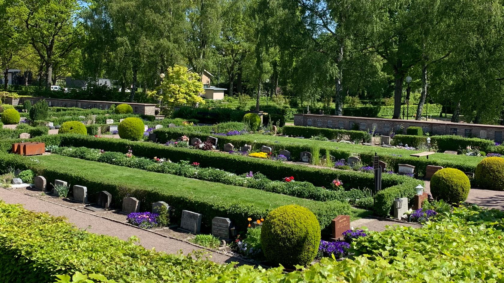 Vy över gravkvarter. Gravplatser omslutna av buxbomshäckar. Gravvårdar i olika former och färg. Riklig grönska. 