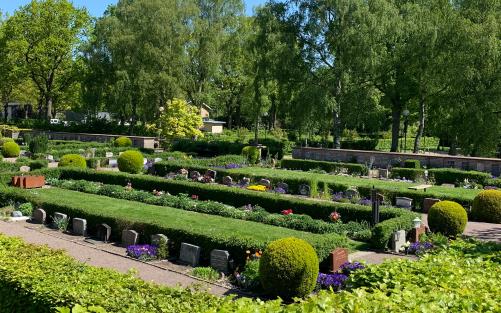 Vy över gravkvarter. Gravplatser omslutna av buxbomshäckar. Gravvårdar i olika former och färg. Riklig grönska. 